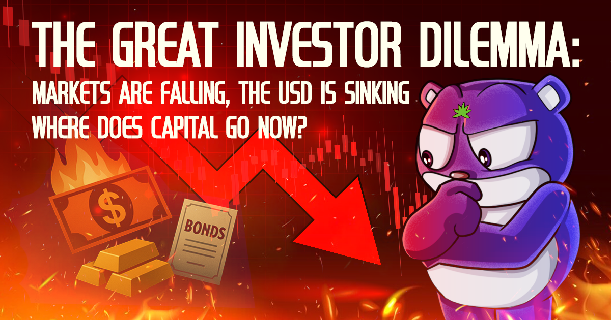 The Great Investor Dilemma: Markets Are Falling, the USD Is Sinking — Where Does Capital Go Now?